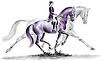 dressage horses for sale in Florida